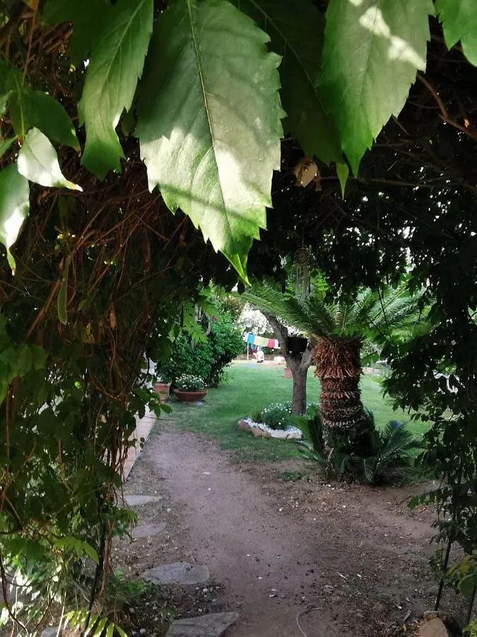 Villa Acchiappasogni Loiri Porto San Paolo Frühstückspension